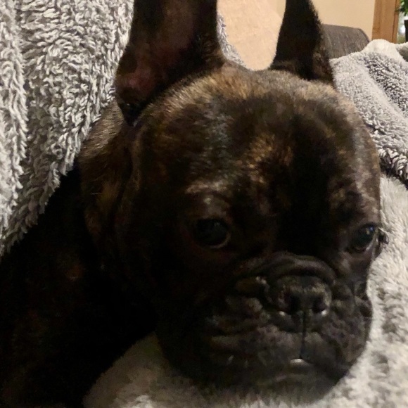 Meet your Posher, Staci - Picture 1 of 1